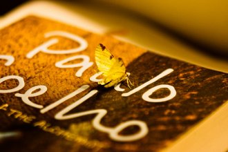 Midnight visitor - She just sat there, on my book, as if she had been gently and artistically placed by the Gods of creativity.