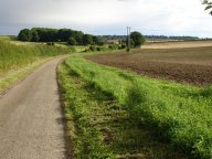 country lane