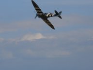 Spitfire