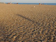pebbly Brighton beach
