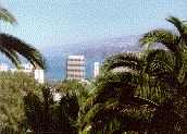 view over Puerto from Taoro lookout